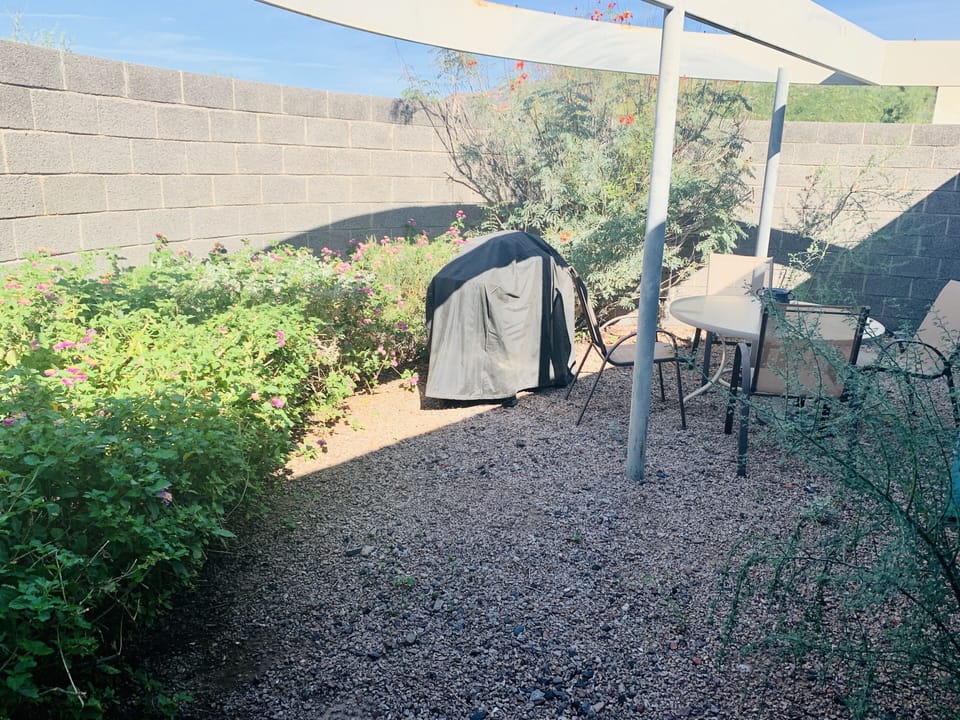 Back patio with bbq