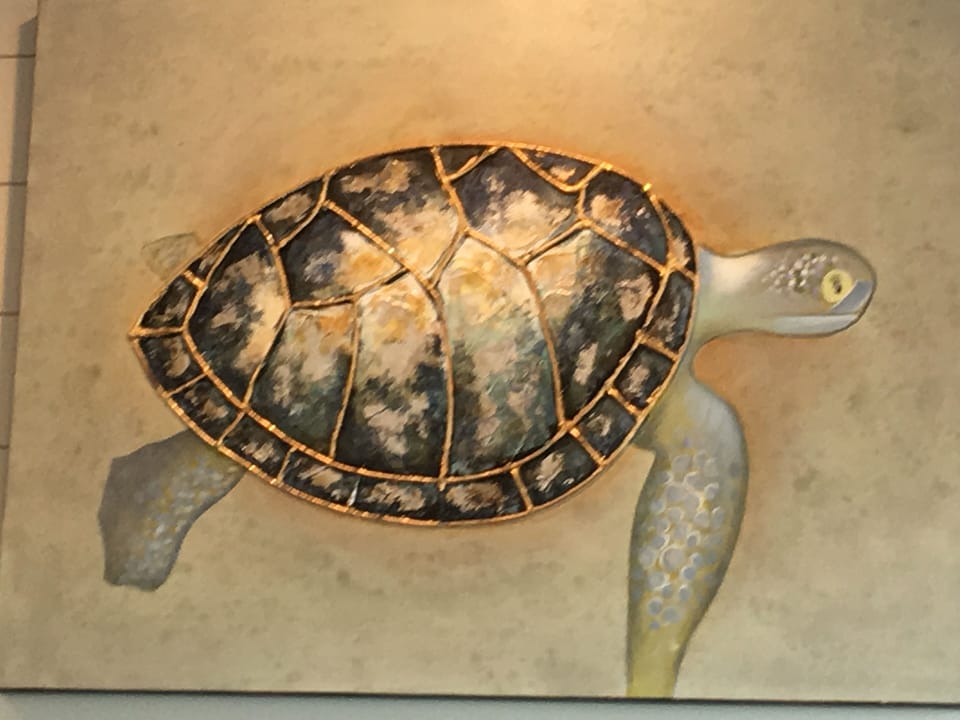 The Turquoise Turtle