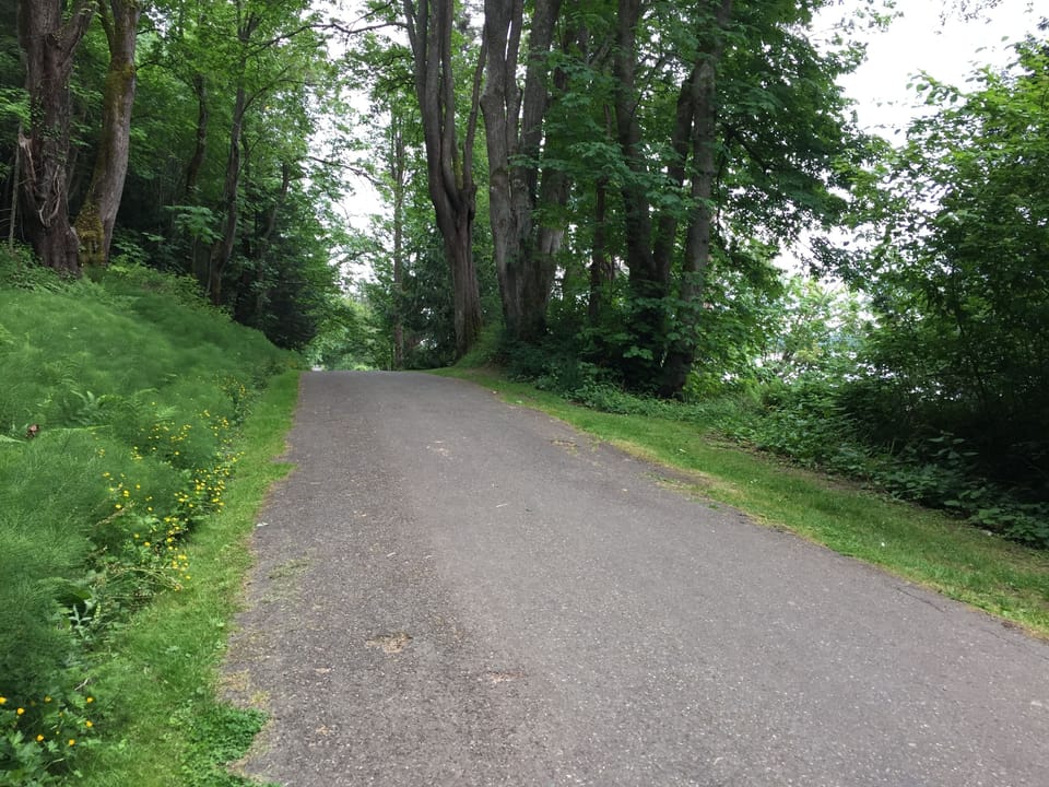 2 miles of paved trails in Fort Ward Park