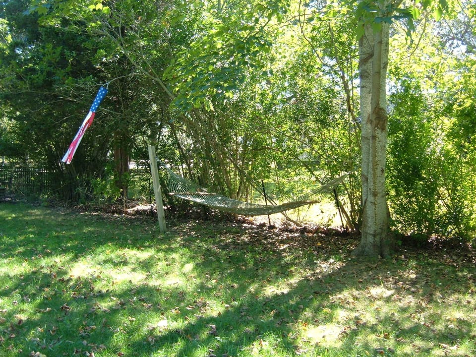 hammock in the shade..ahhh !