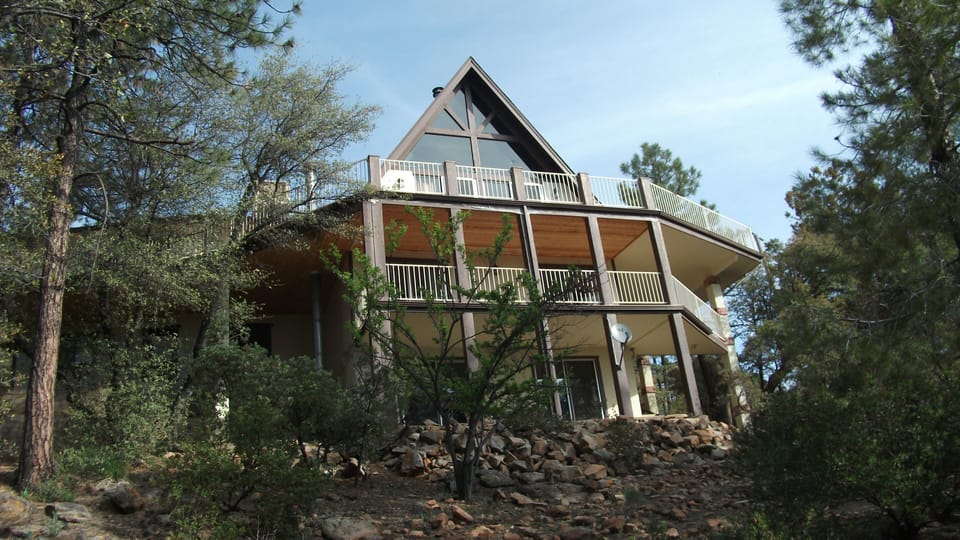 Forest view of Hodge Lodge
