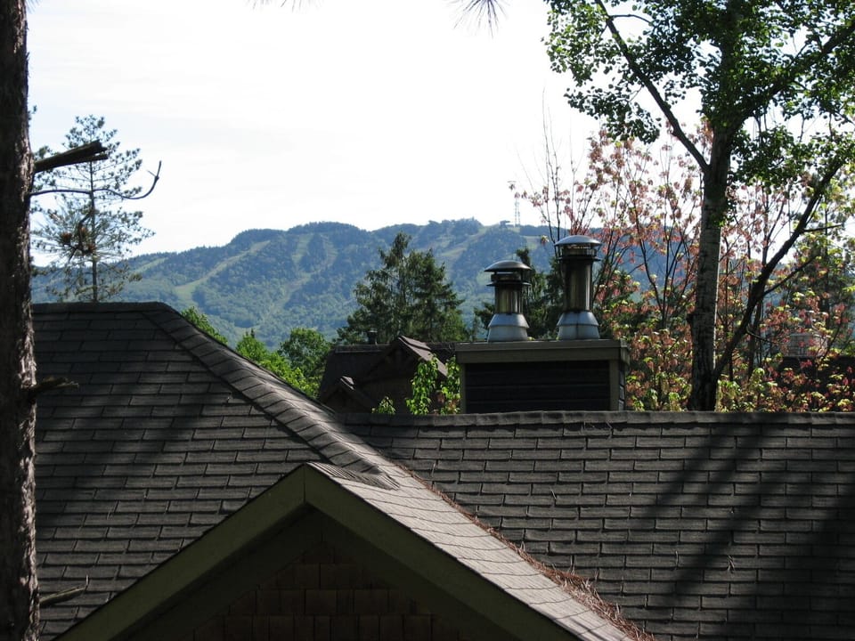 mountain view