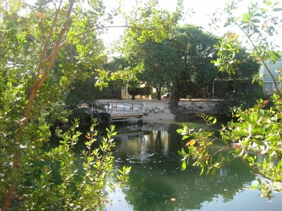 Saltwater lagoon steps from townhome