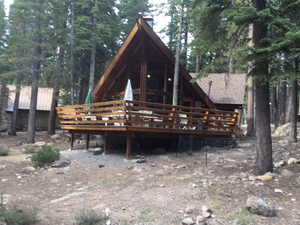 Back yard