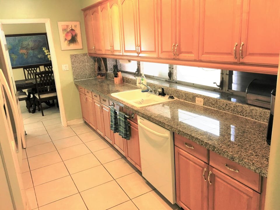 Kitchen View 2