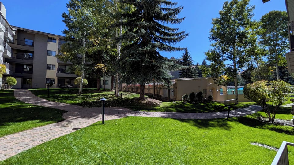 View from patio