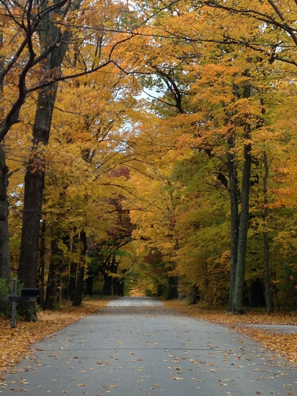 Beautiful fall day on Cottage Row