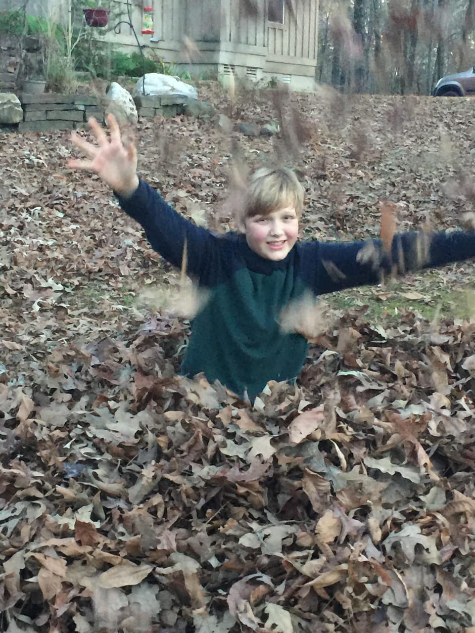 Fall — leaves, leaves, and more leaves!  :-)