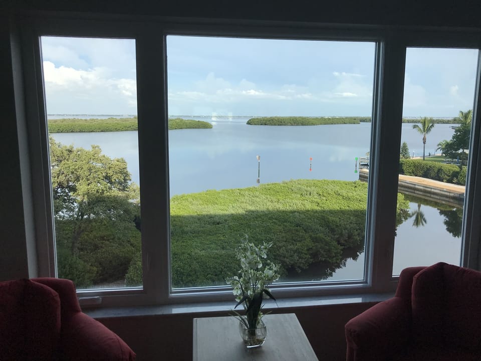 View from the Living Room