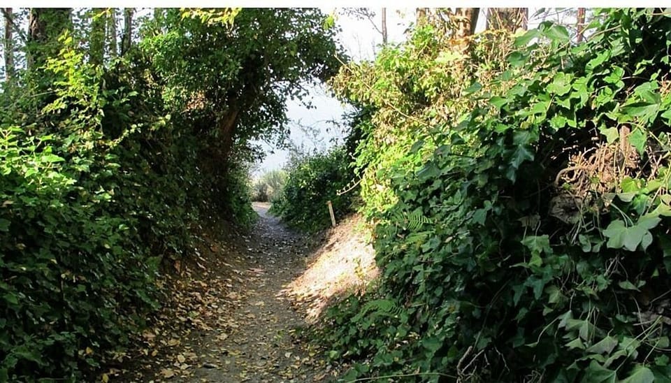 Path to the beach.
