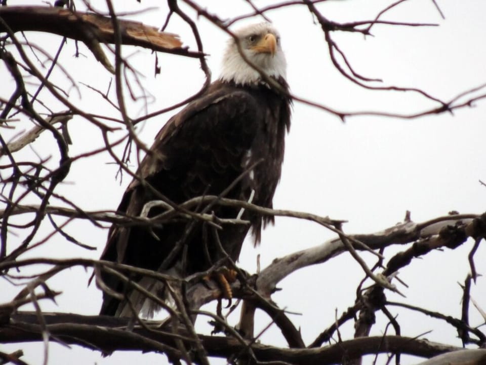 You may be watched while you are in the yard.