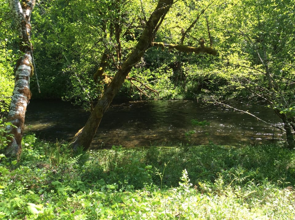  100 feet from the house, sit, relax and cool off. 
