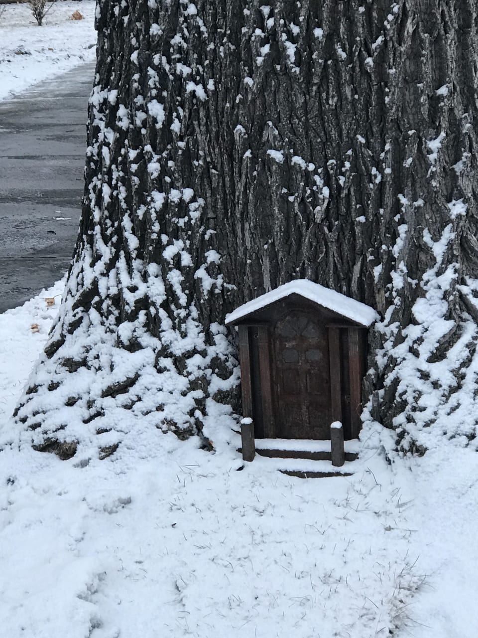 Fairy dwelling.