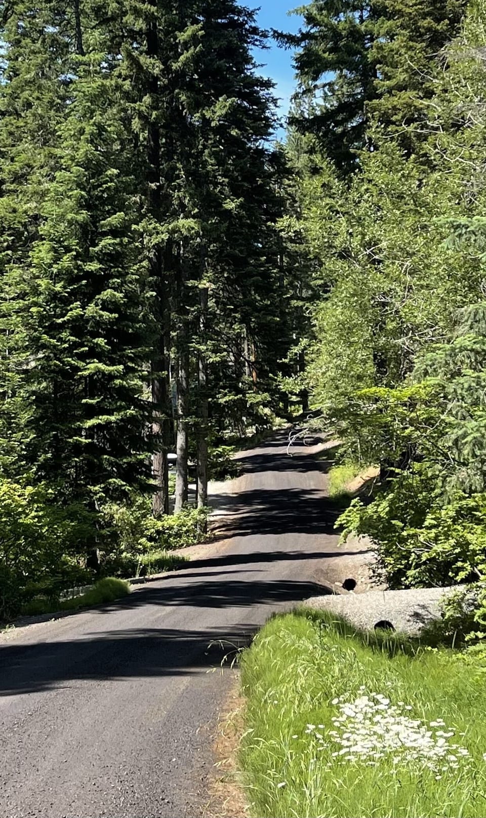 A summer stroll right outside the door.