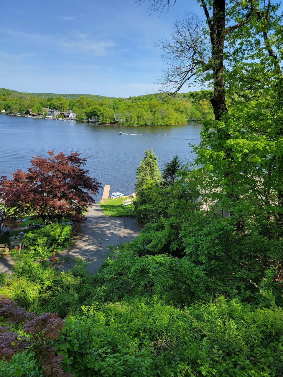 View from deck