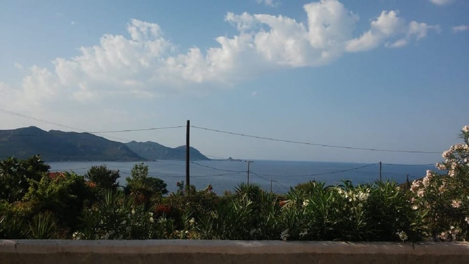 the View