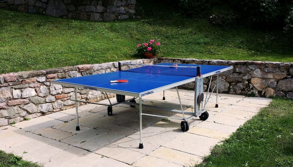 Table Tennis
