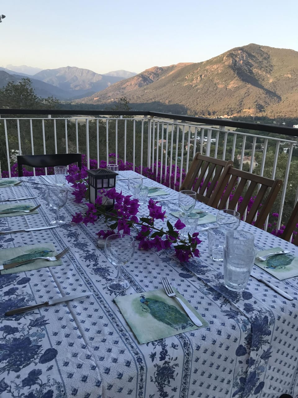 Ready for dinner!