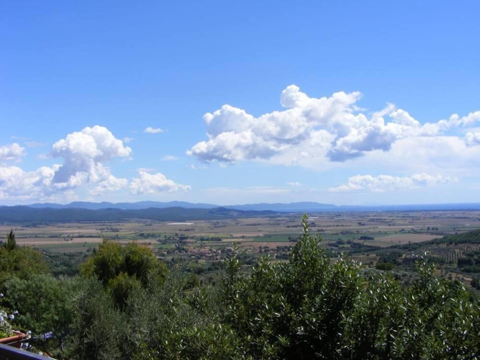 Overview