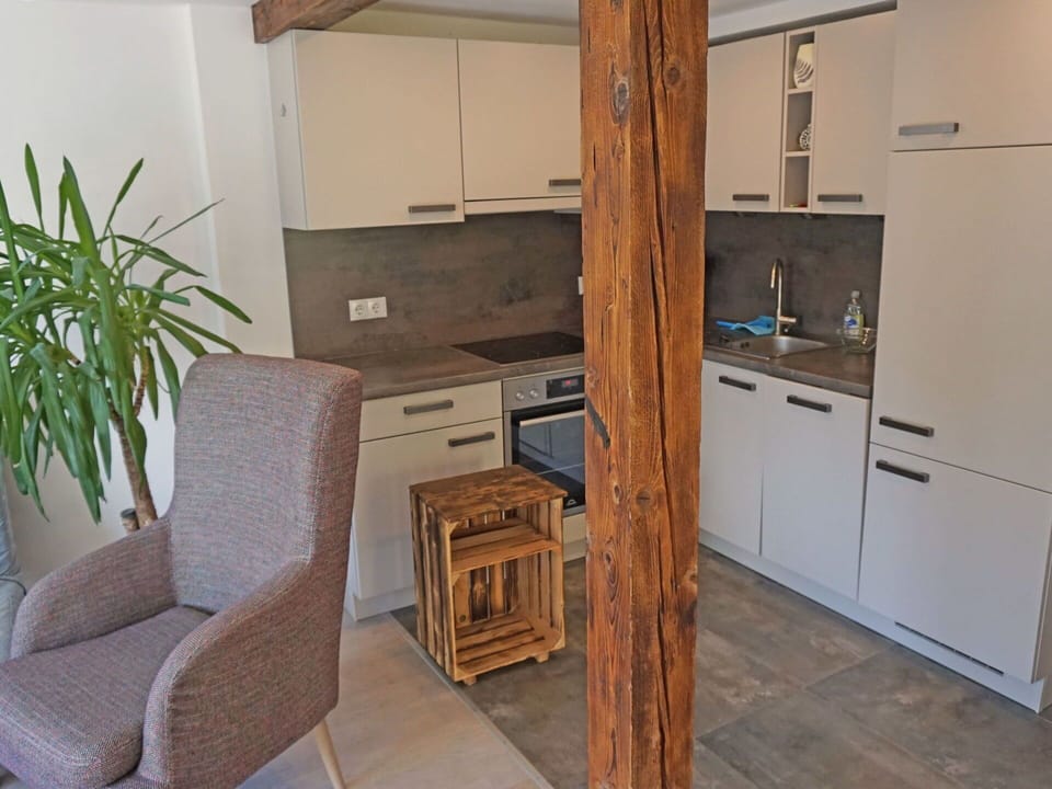 Property, Furniture, Cabinetry, Plant, Countertop, Wood, Building, Interior Design, Kitchen Stove, Kitchen Appliance
