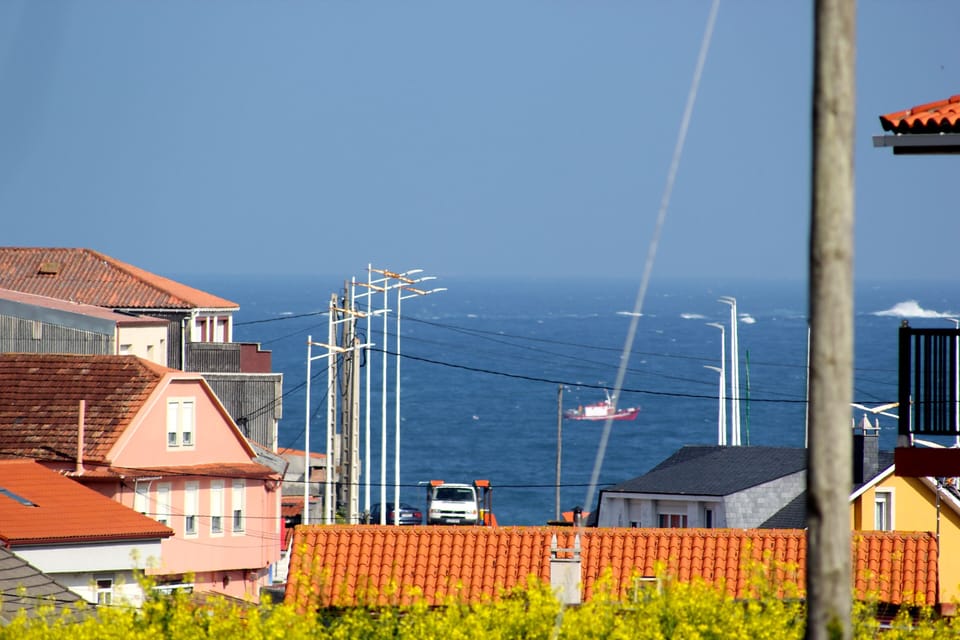 View from the terrace 
