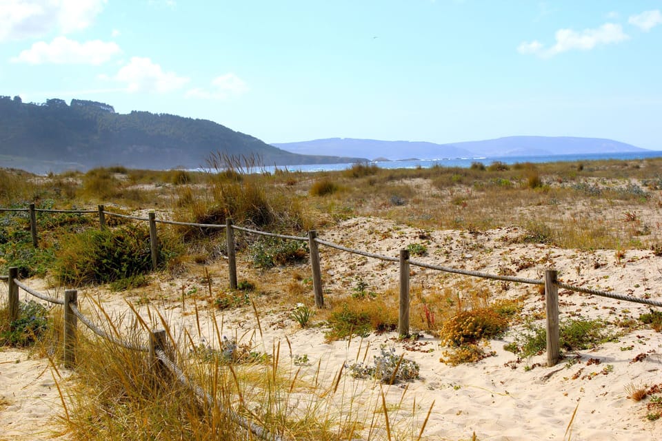 Protected natural area of Razo-Baldaio, with beaches, dunes, marshes and lagoon