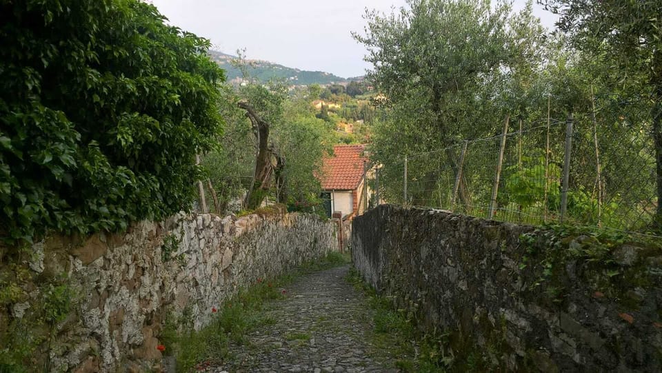 a path to reach the seaside