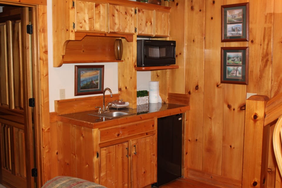 Lower Level Mini Kitchen