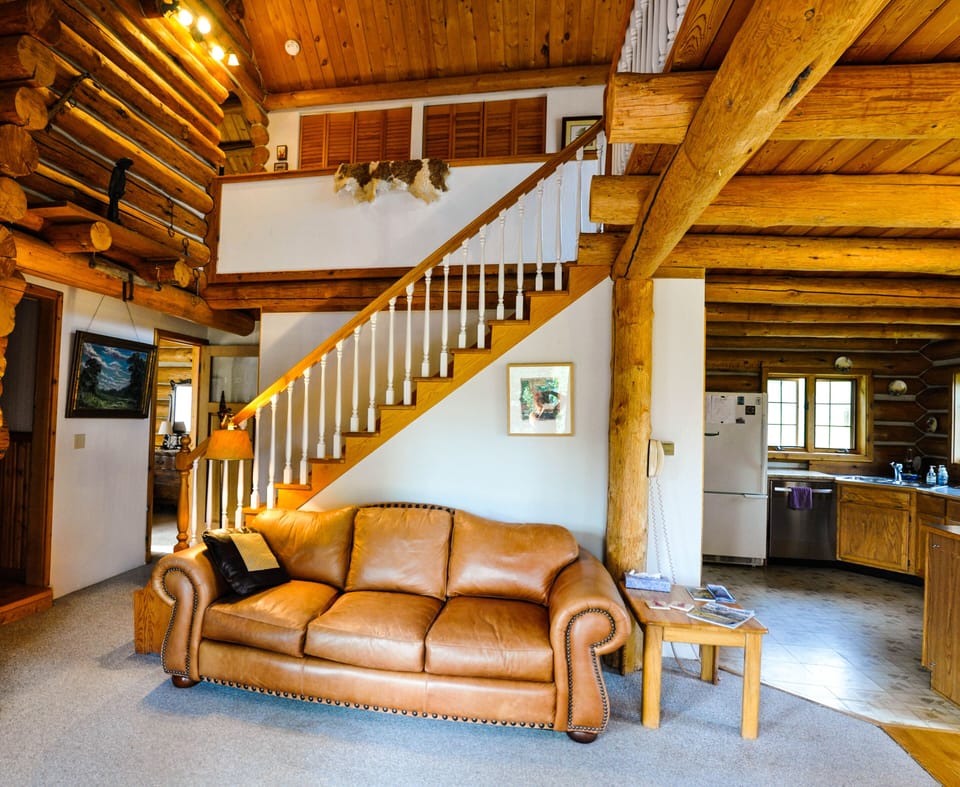 leather couch in the living room