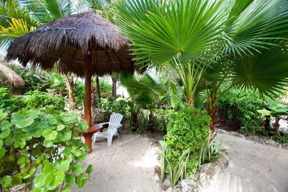 Tropical garden with Palapa