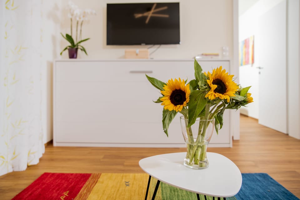 City Apartment, 1 Bedroom | Living area | 42-inch flat-screen TV with digital channels, TV, heated floors