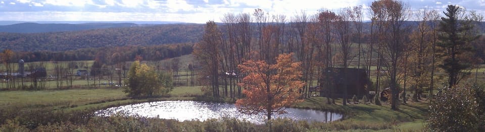 The pond beside the cottage with a bit of the view looking Westward.