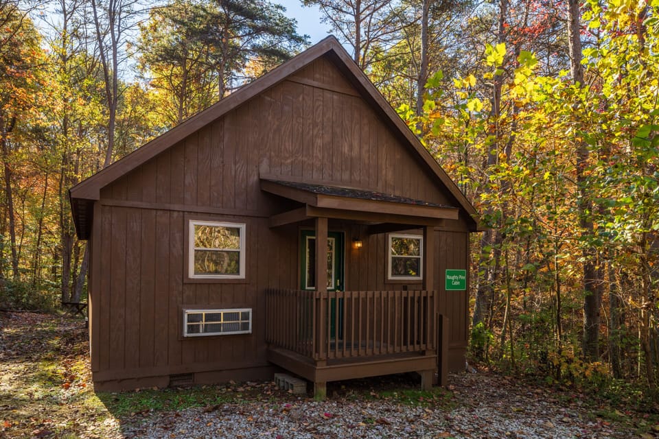 front of the cabin
