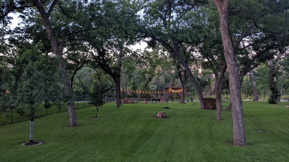 View of backyard at sundown
