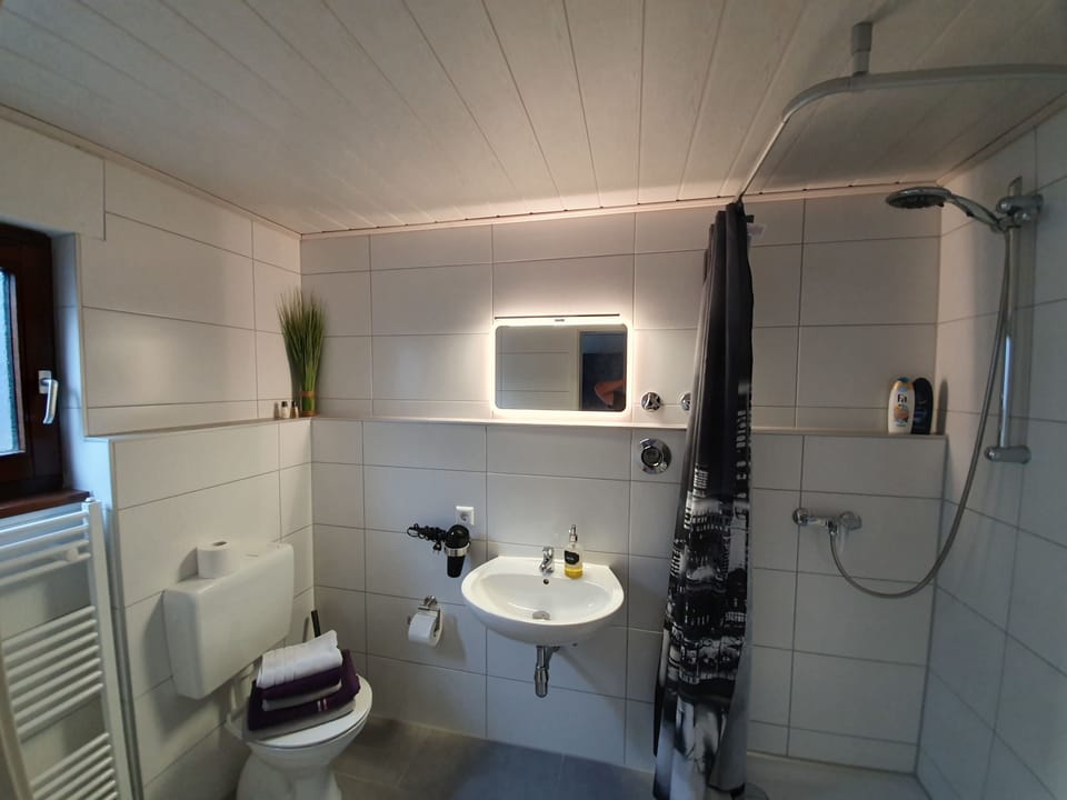 Apartment | Bathroom amenities | Shower, hair dryer, towels, soap