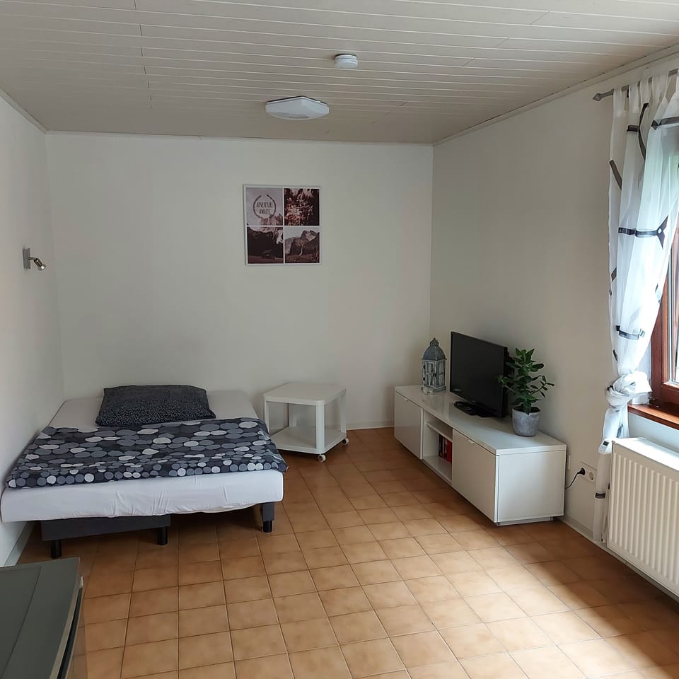 Apartment | Living area | 80-cm flat-screen TV with satellite channels, Smart TV, DVD player