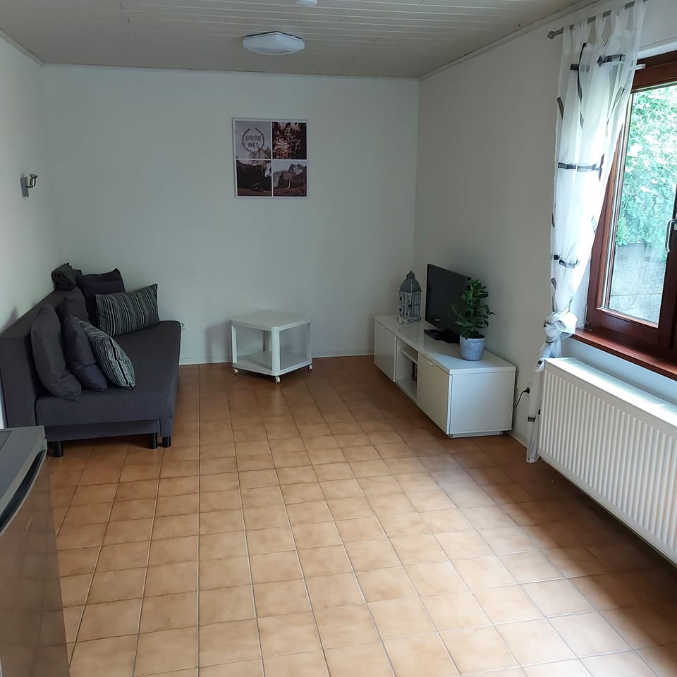 Apartment | Living area | 80-cm flat-screen TV with satellite channels, Smart TV, DVD player