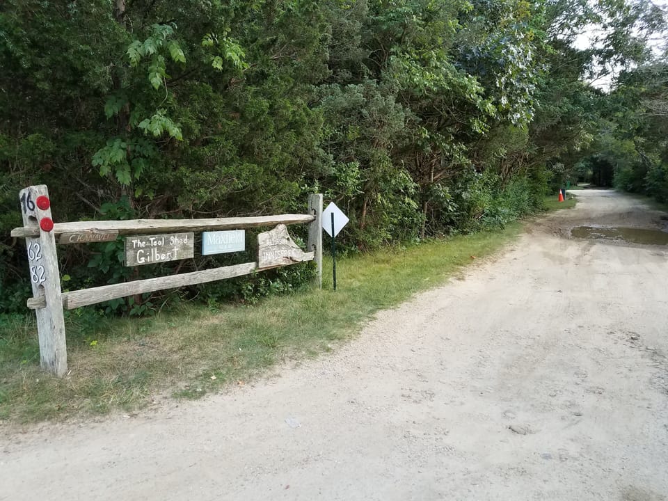 Driveway to our property located 100 yards back from the road