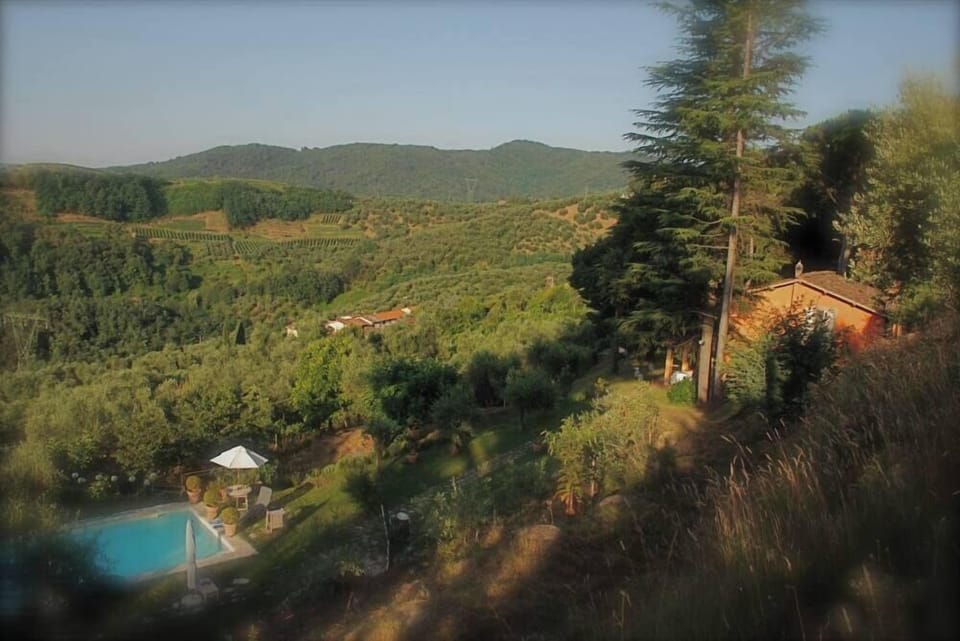 Overview