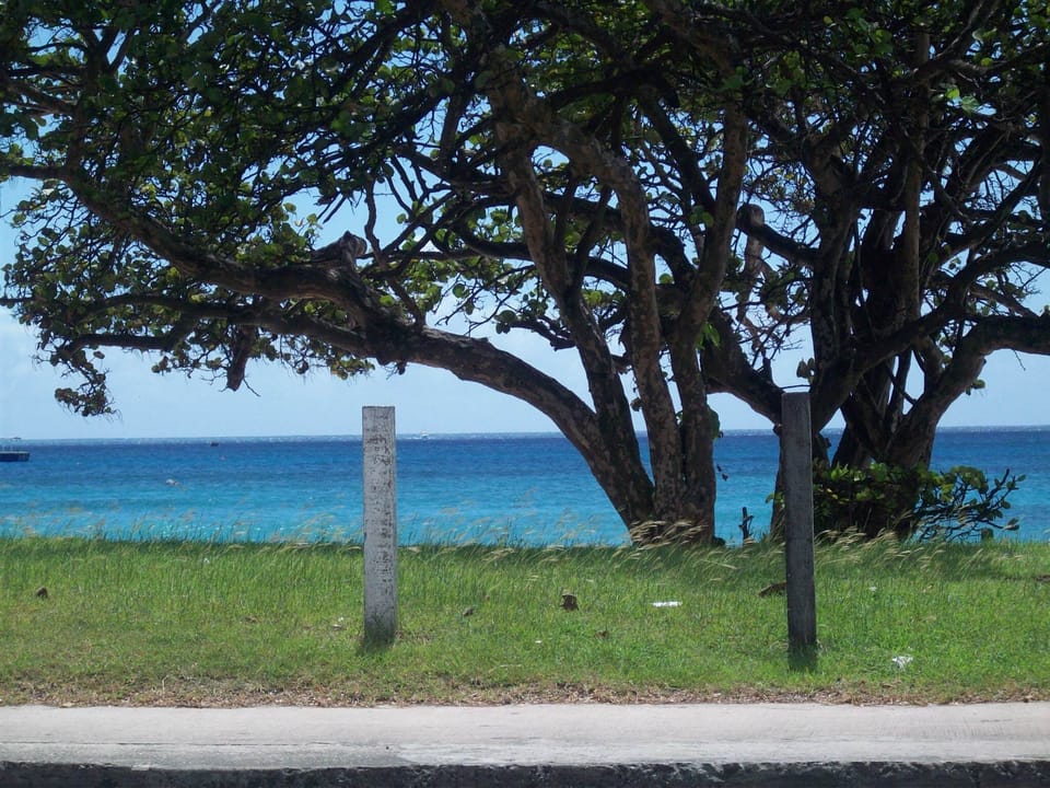 Oistins Beach