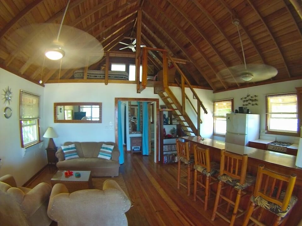 Living room, kitchen and loft from the entrance glass doors.