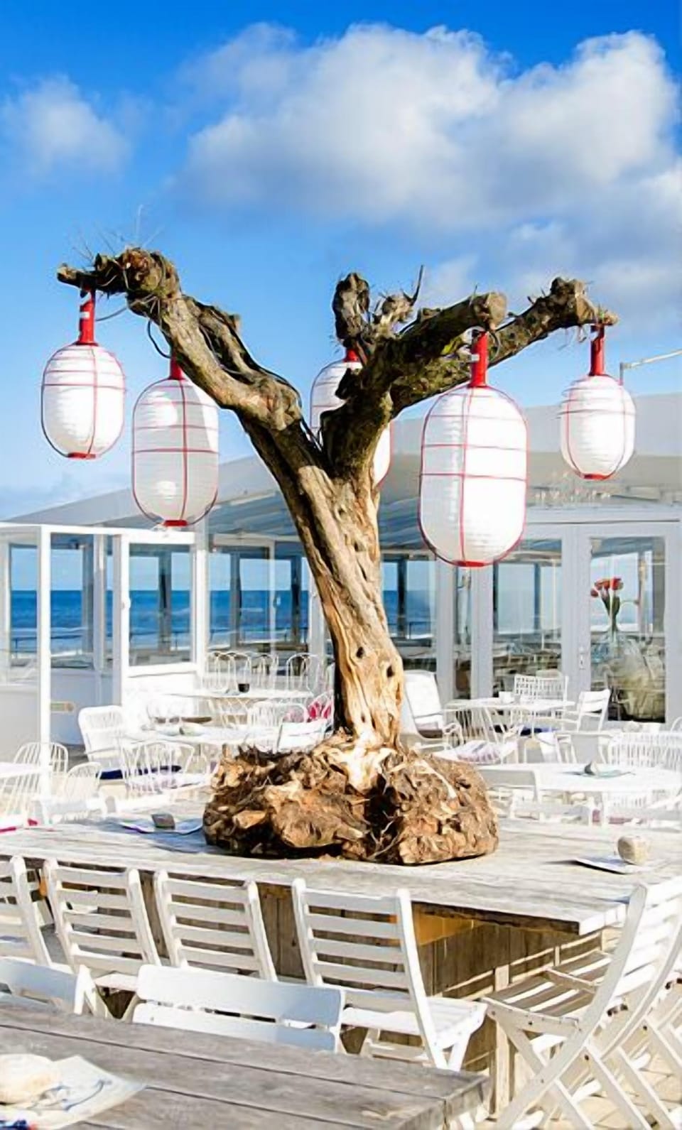 SB Noord - great place on the beach in Bergen aan Zee
