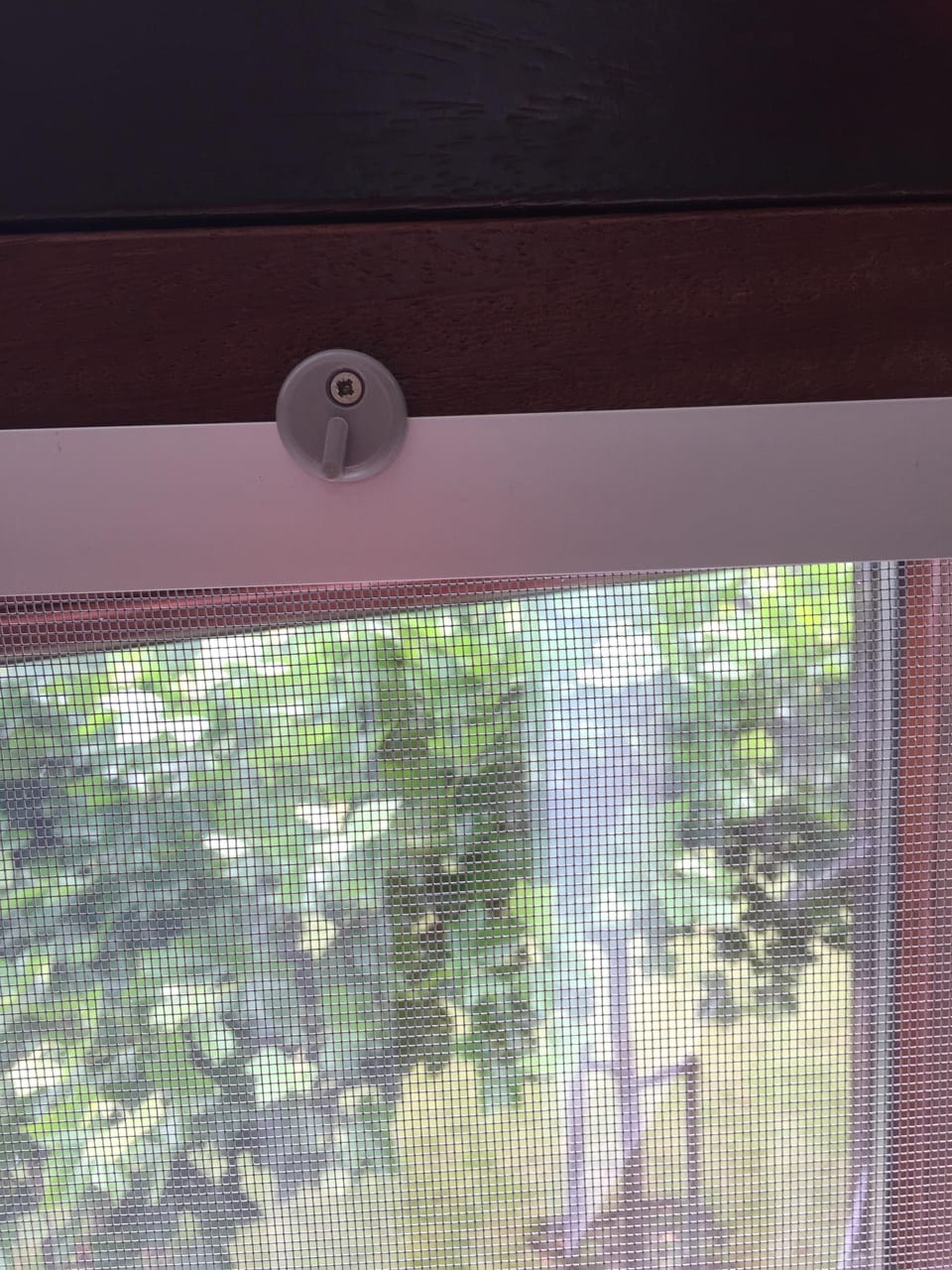 New insect screens on 1st floor