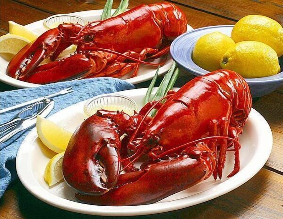 Freshest and best lobster on the planet.
