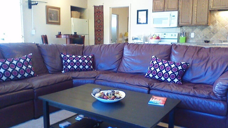 Living Room with Comfy Sofa and Pull-Out Bed