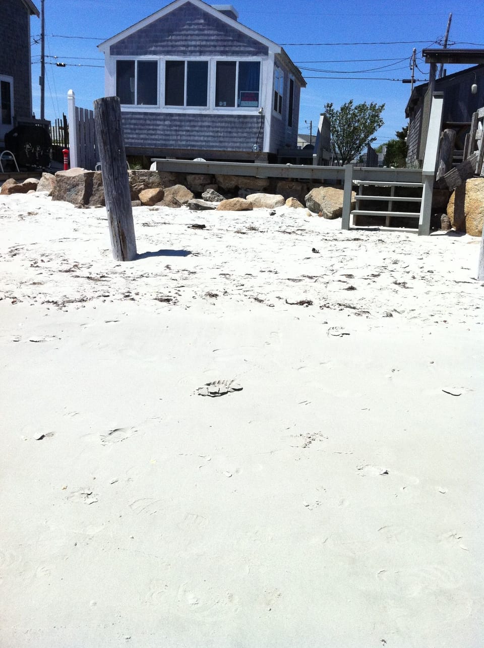private sandy beach and deck directly on Nantucket Sound