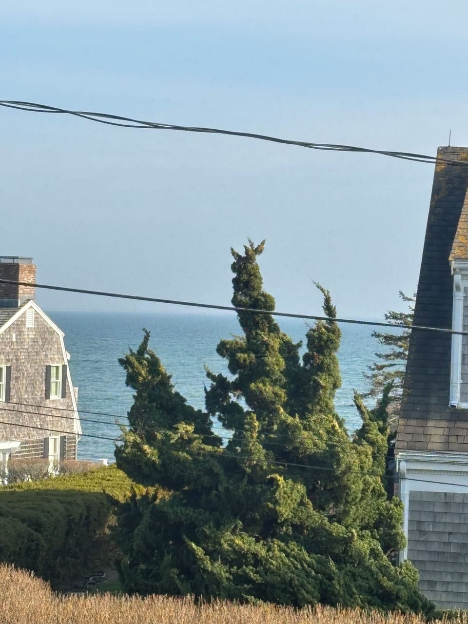 View from upstairs