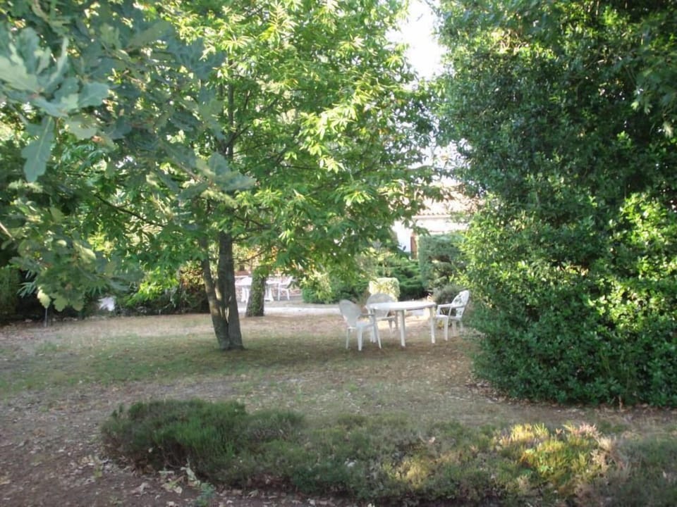Garden, Park