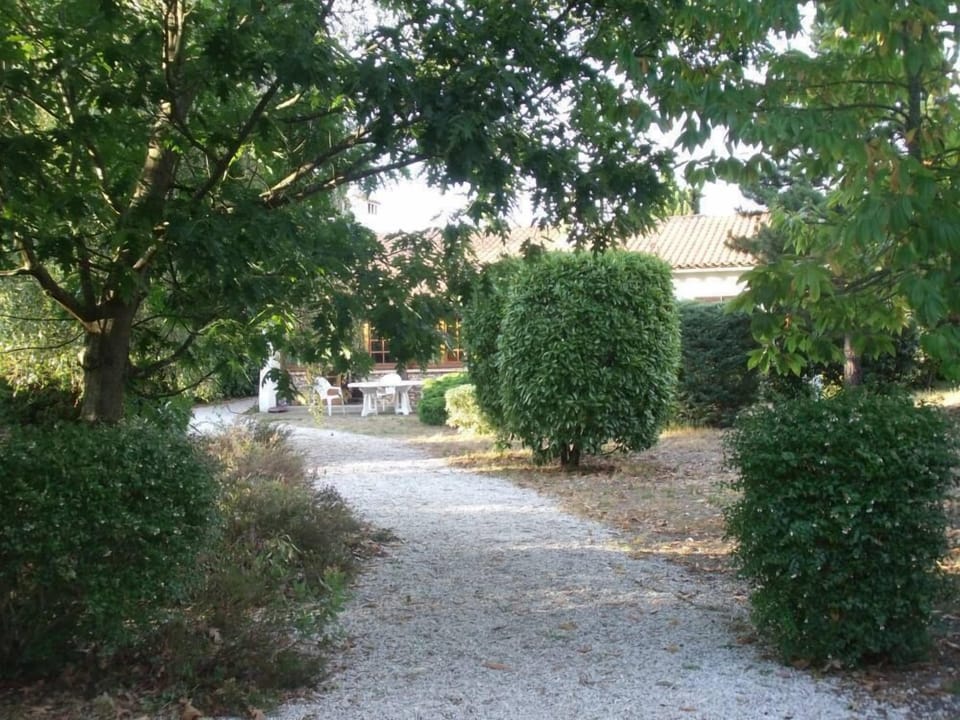 Garden, Park