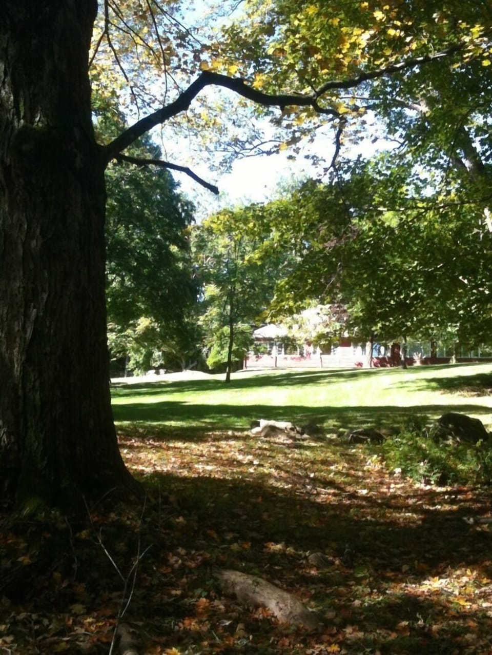 Property grounds